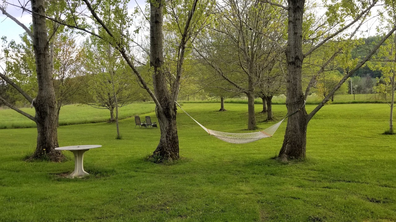 Photo of Outdoor in Cazenovia