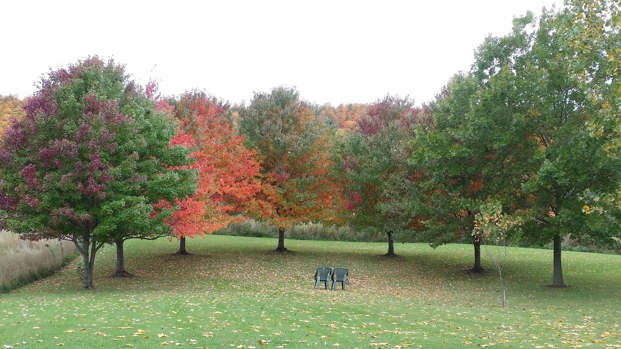 Photo of Outdoor in Cazenovia