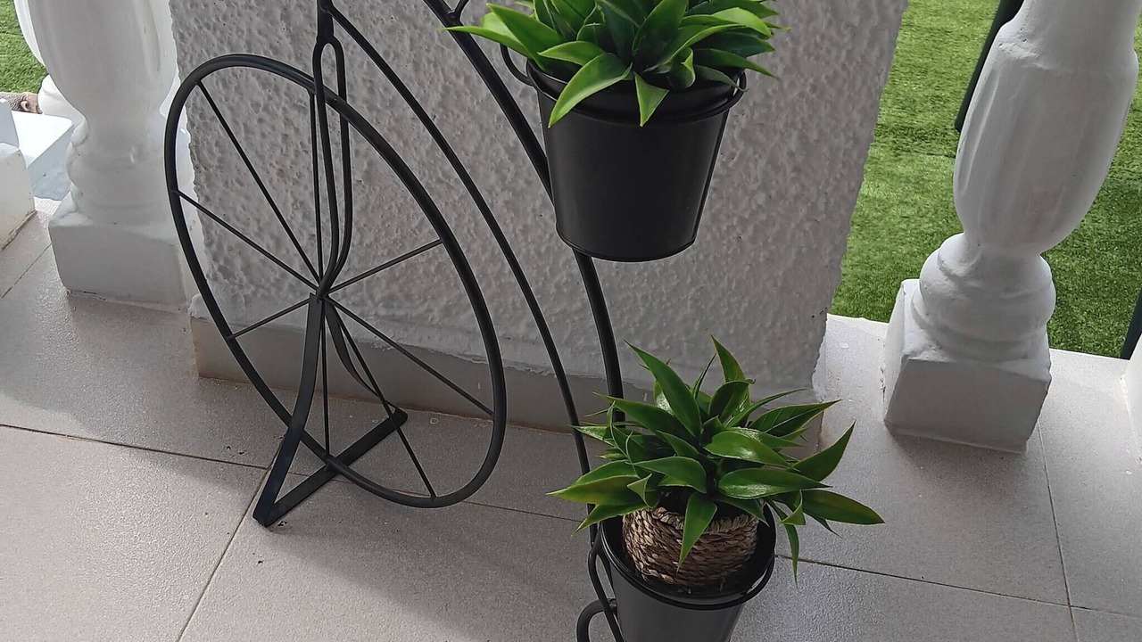 Photo of Patio Balcony in San Fulgencio
