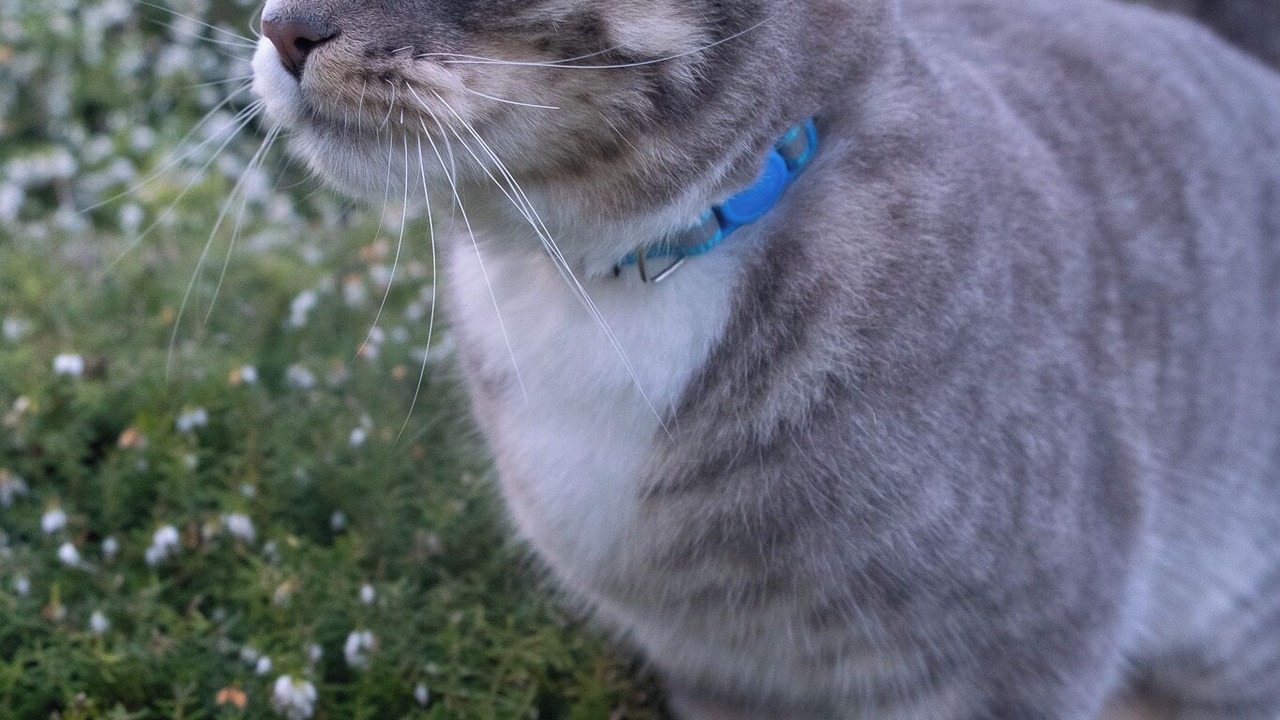 Photo of Outdoor in Dundee