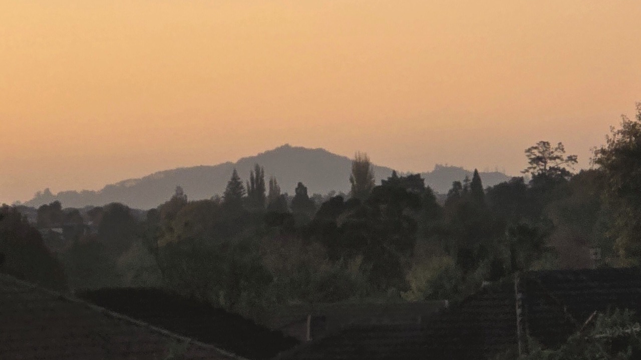 Photo of Others in Hamilton North