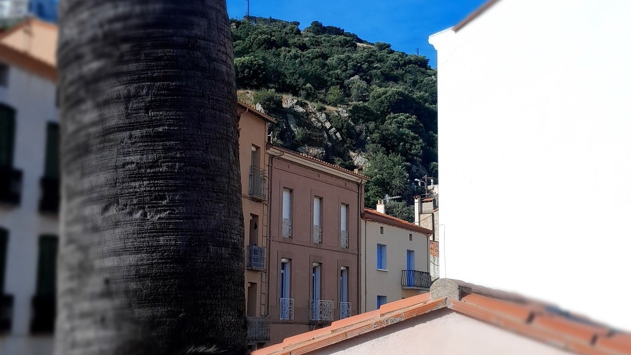 Photo of Bedroom in Cerbere