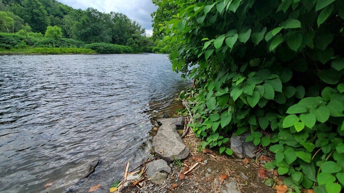 Photo of Bathroom in Hancock