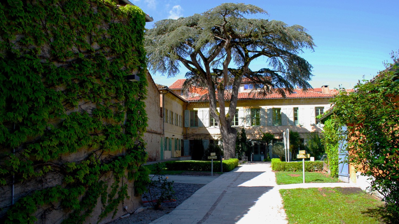Photo of Outdoor in Lavaur