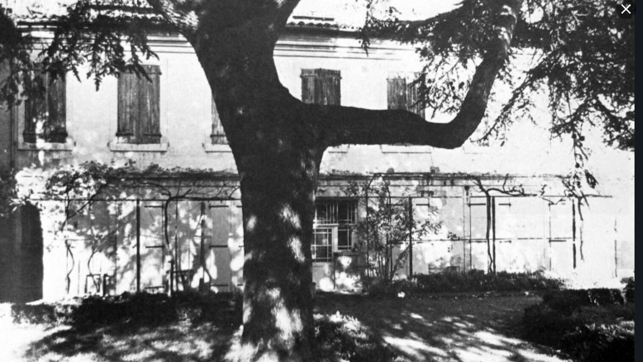 Photo of Others in Lavaur