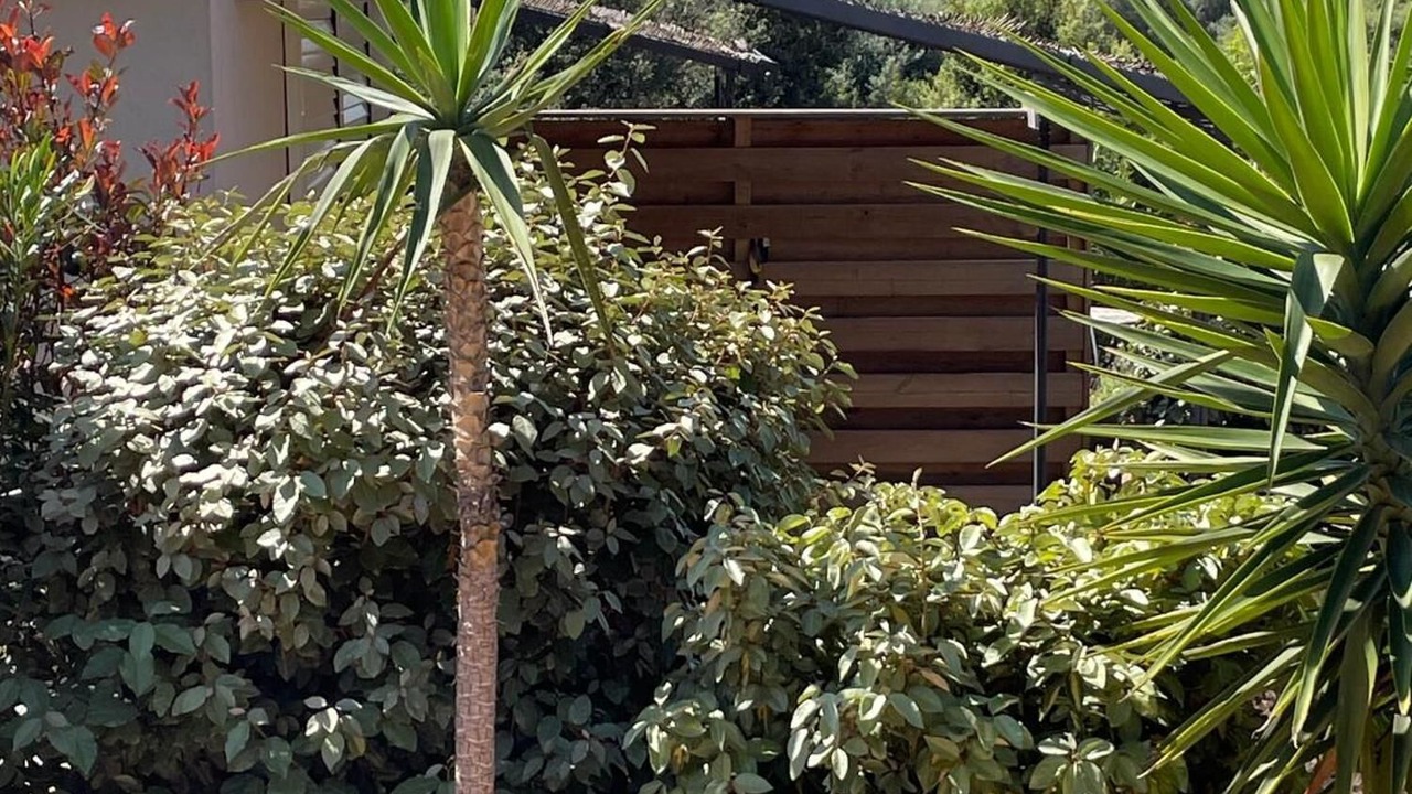 Photo of Outdoor in Figari