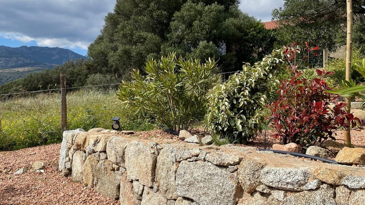 Photo of Outdoor in Figari