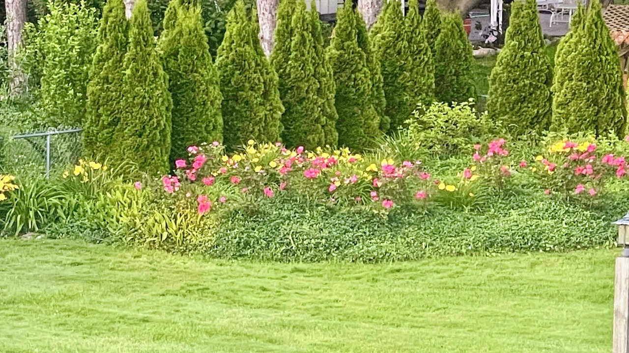 Photo of Outdoor in Lexington