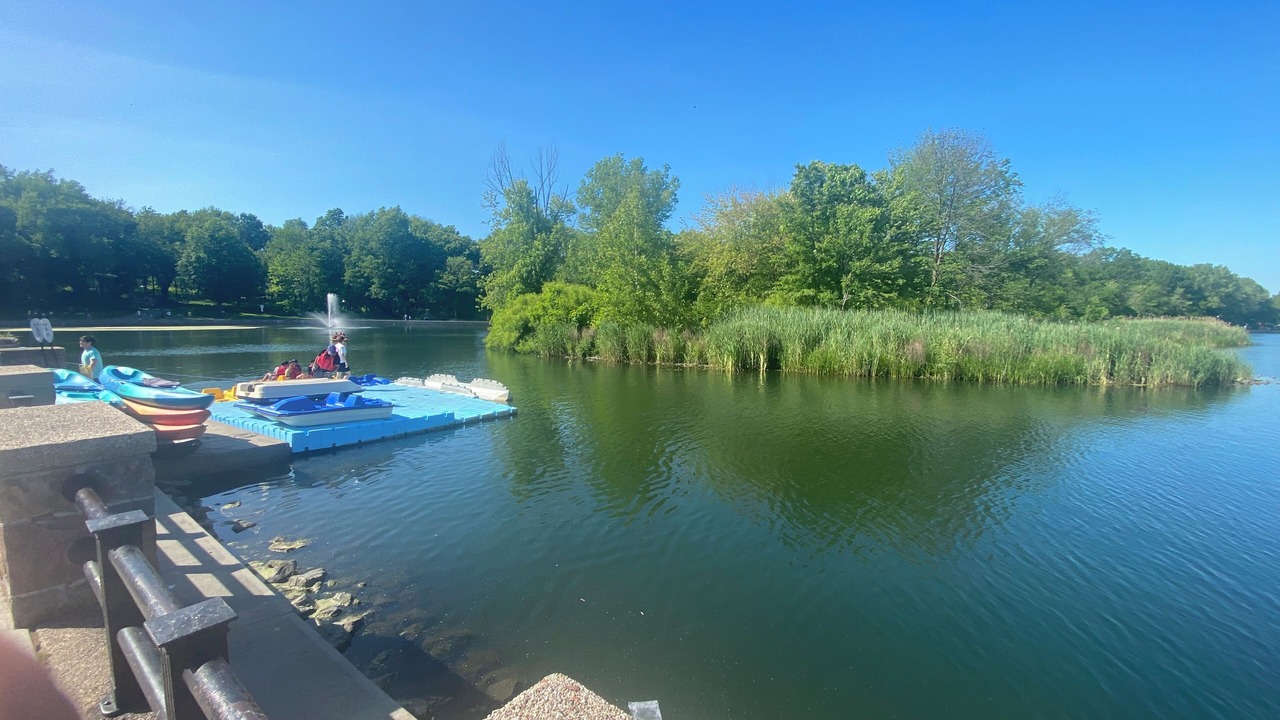 Photo of Others in West New York