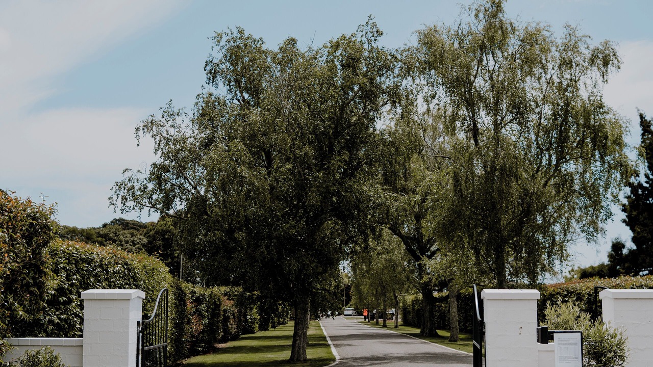 Photo of Outdoor in Manakau