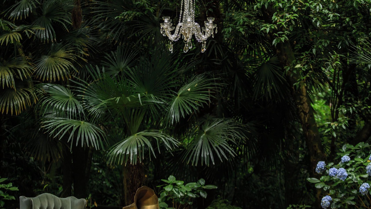 Photo of Outdoor in Manakau