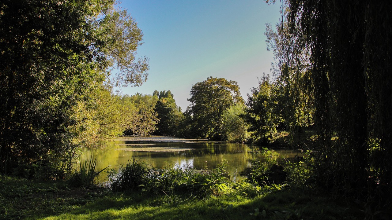 Photo of Outdoor in Jaunay-Clan