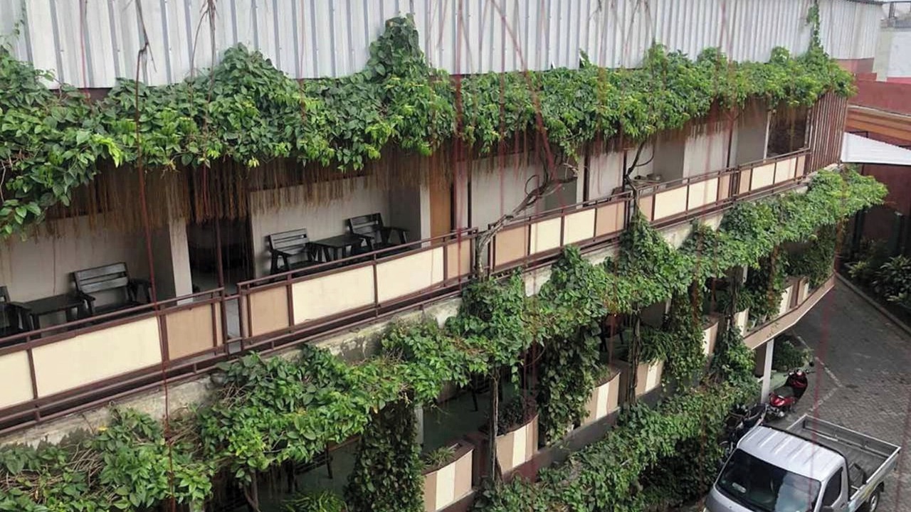 Photo of Outdoor in Patrang