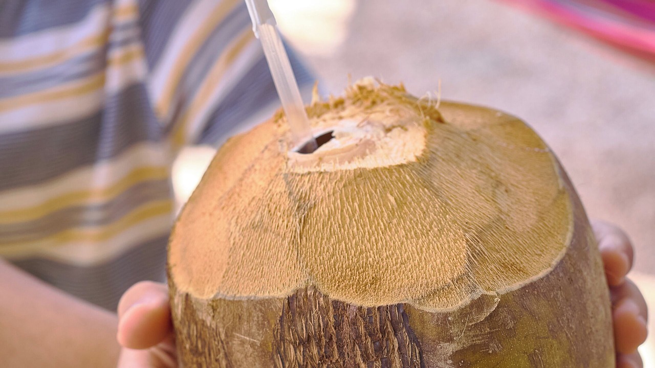 Photo of Others in Higuey