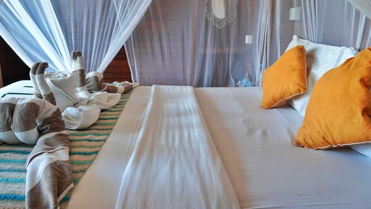 Photo of Outdoor in Mushroom Bay