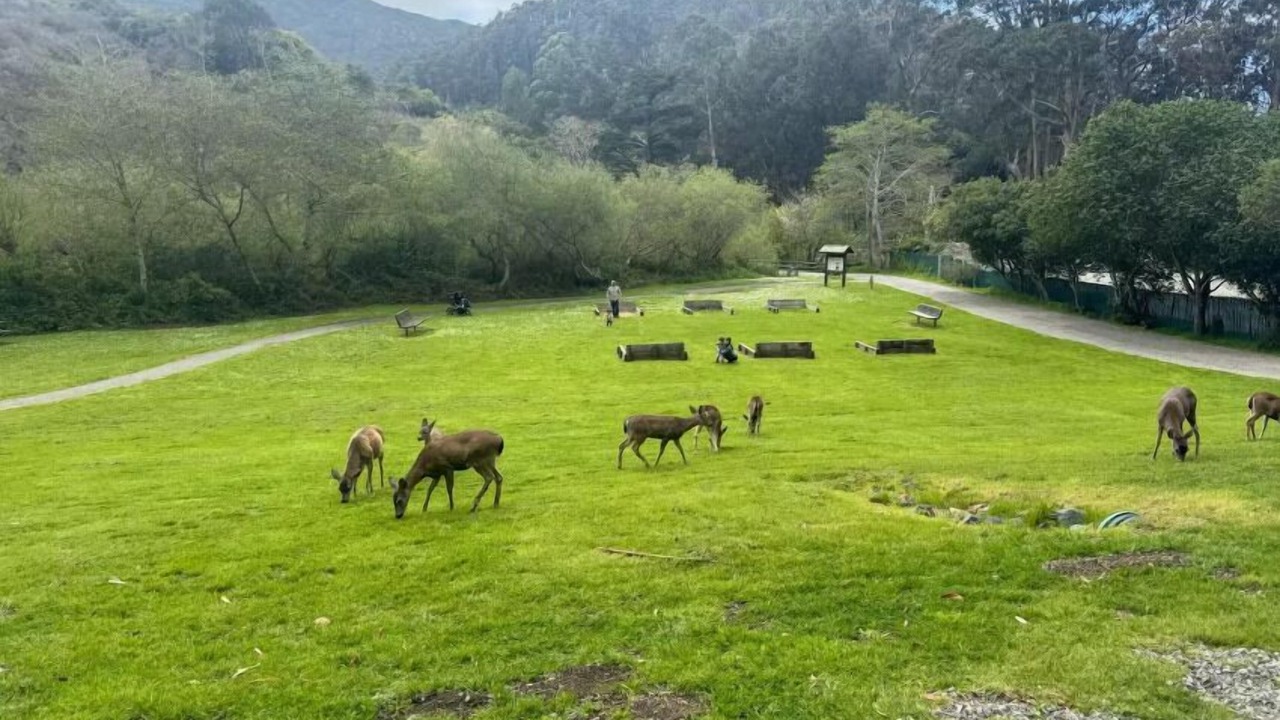 Photo of Outdoor in Sharp Park