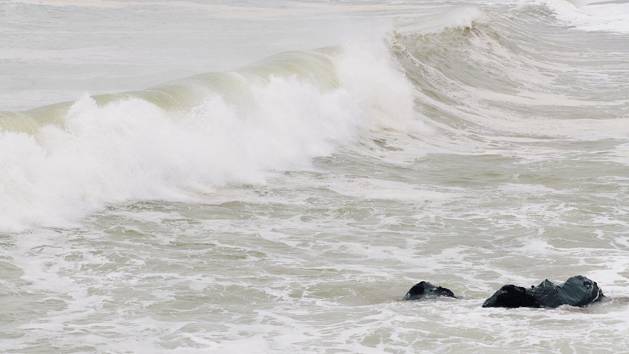 Photo of Others in Jenner