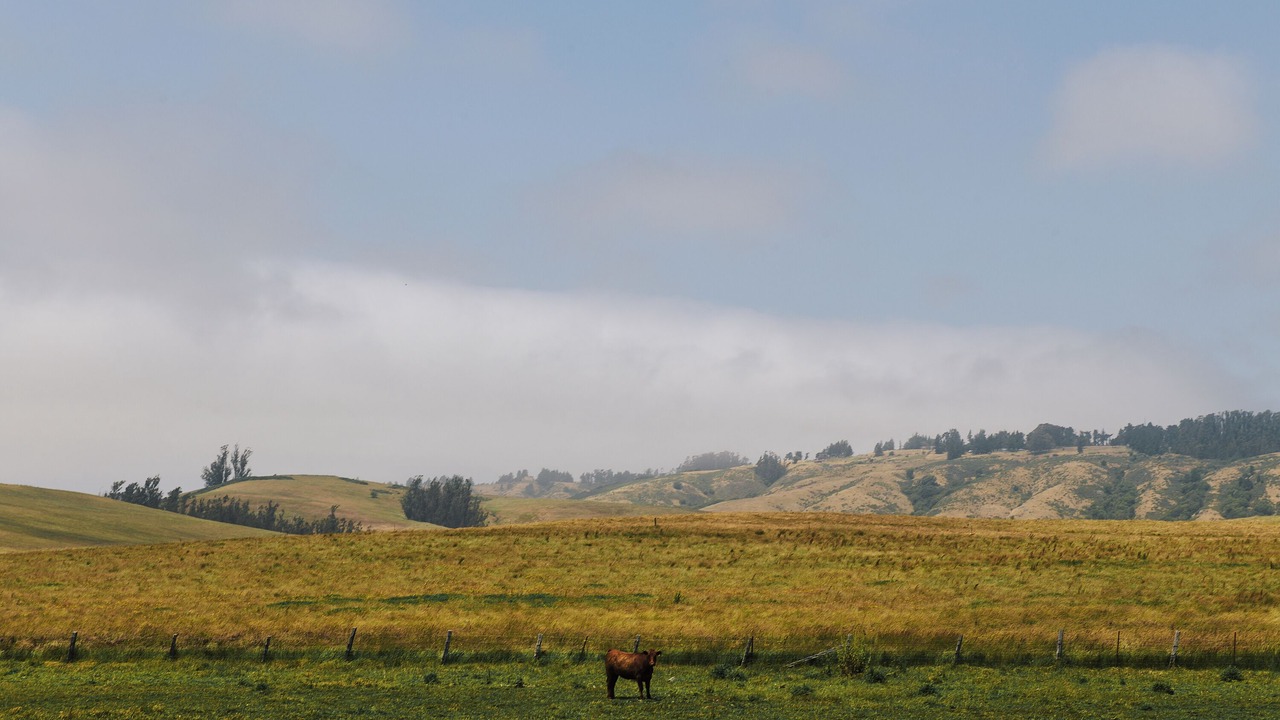 Photo of Outdoor in Jenner