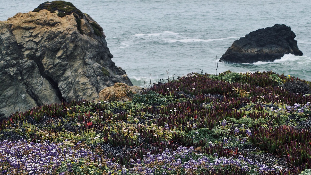 Photo of Others in Jenner