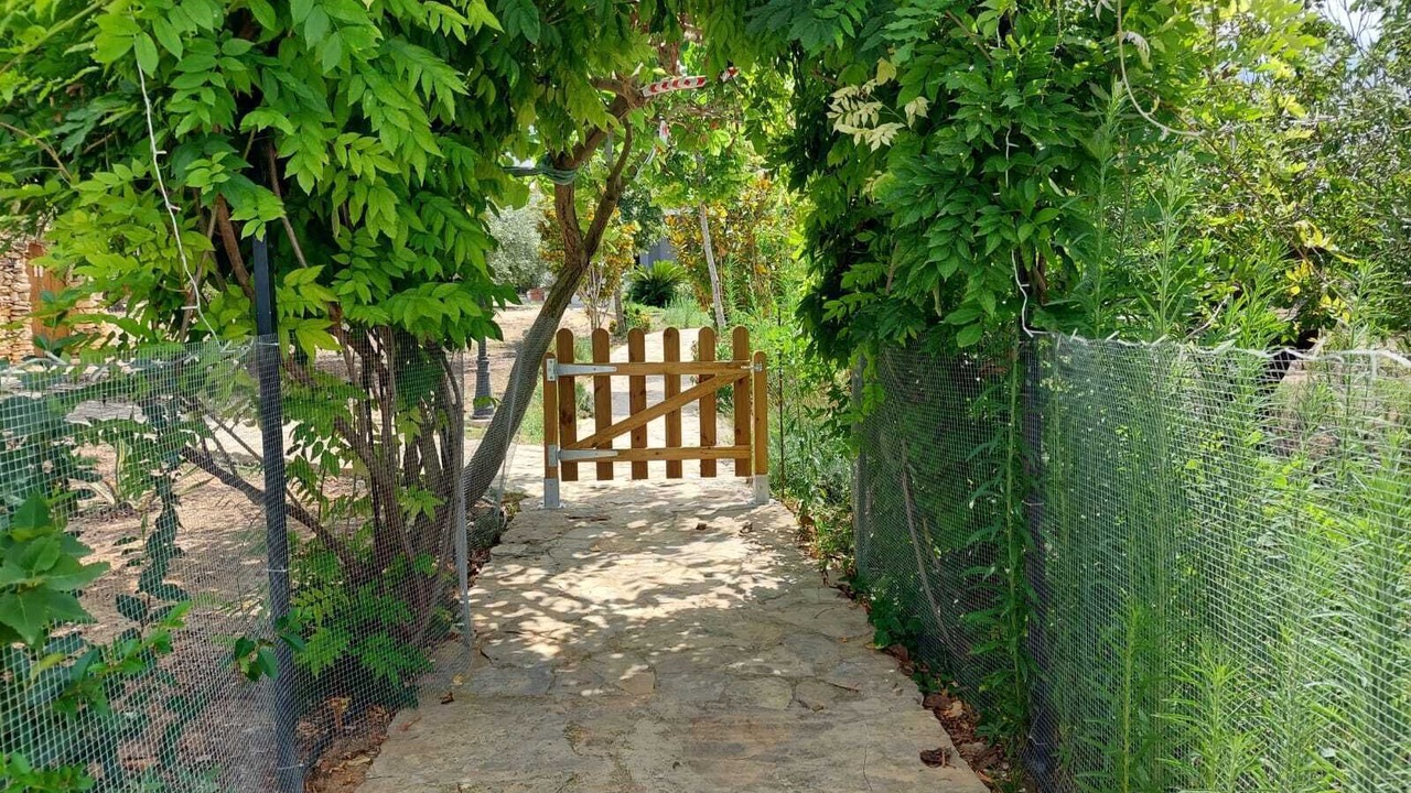 Photo of Outdoor in Calig