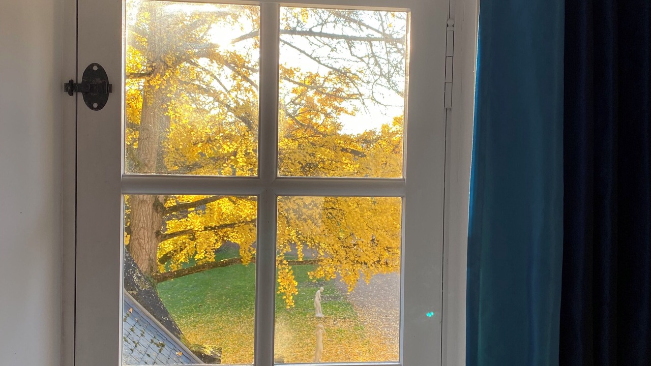 Photo of Others in Artannes-sur-Indre