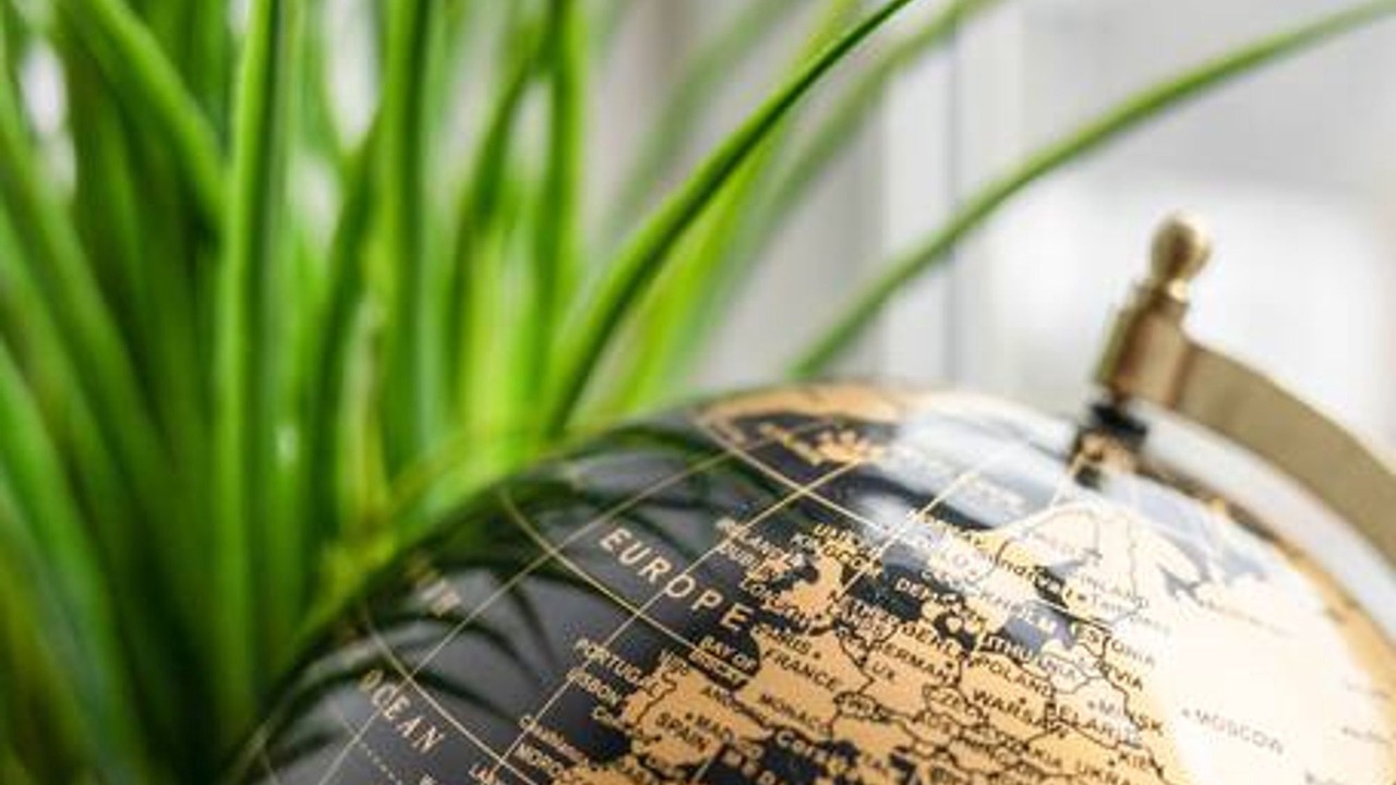 Photo of Others in Galashiels