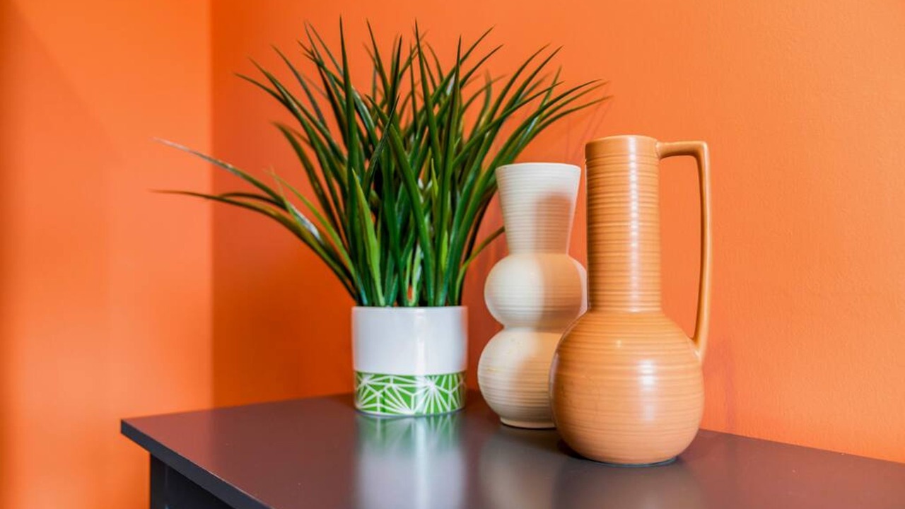 Photo of Others in Galashiels