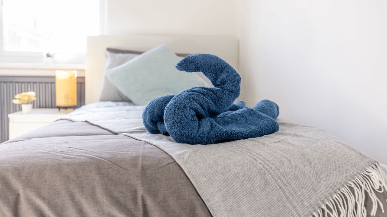 Photo of Others in Cramlington