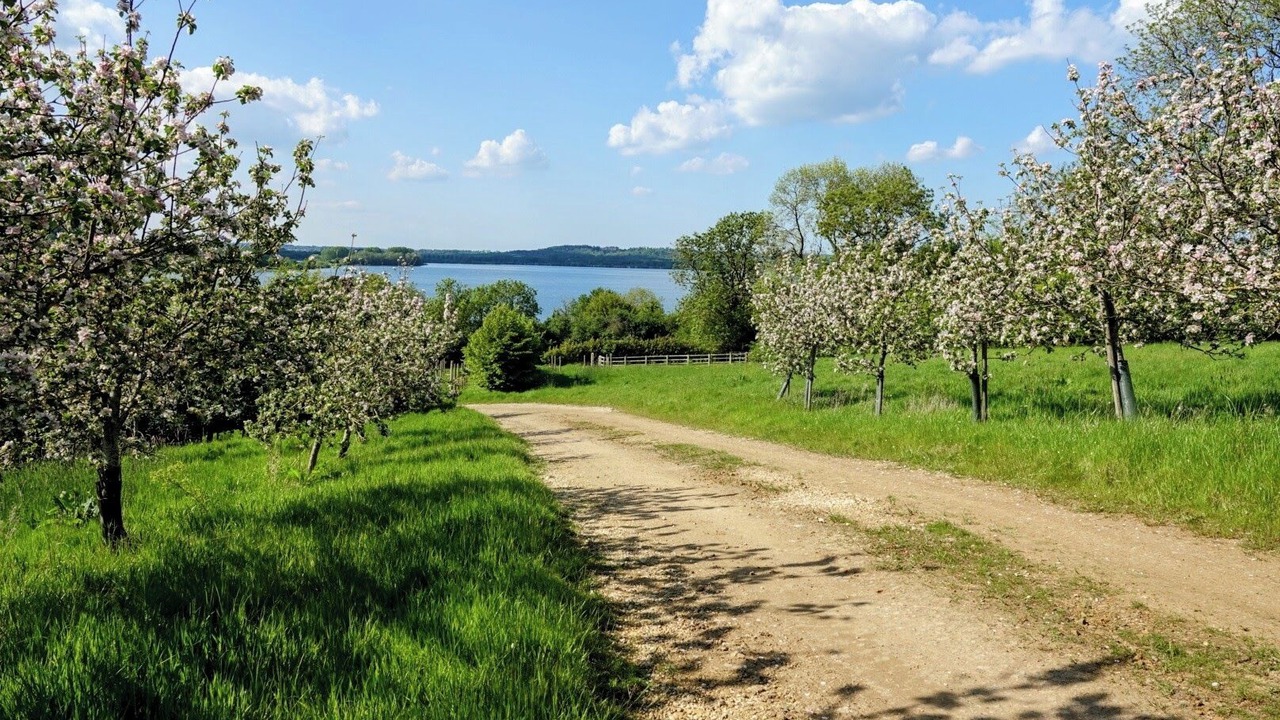 Photo of Outdoor in Longdon