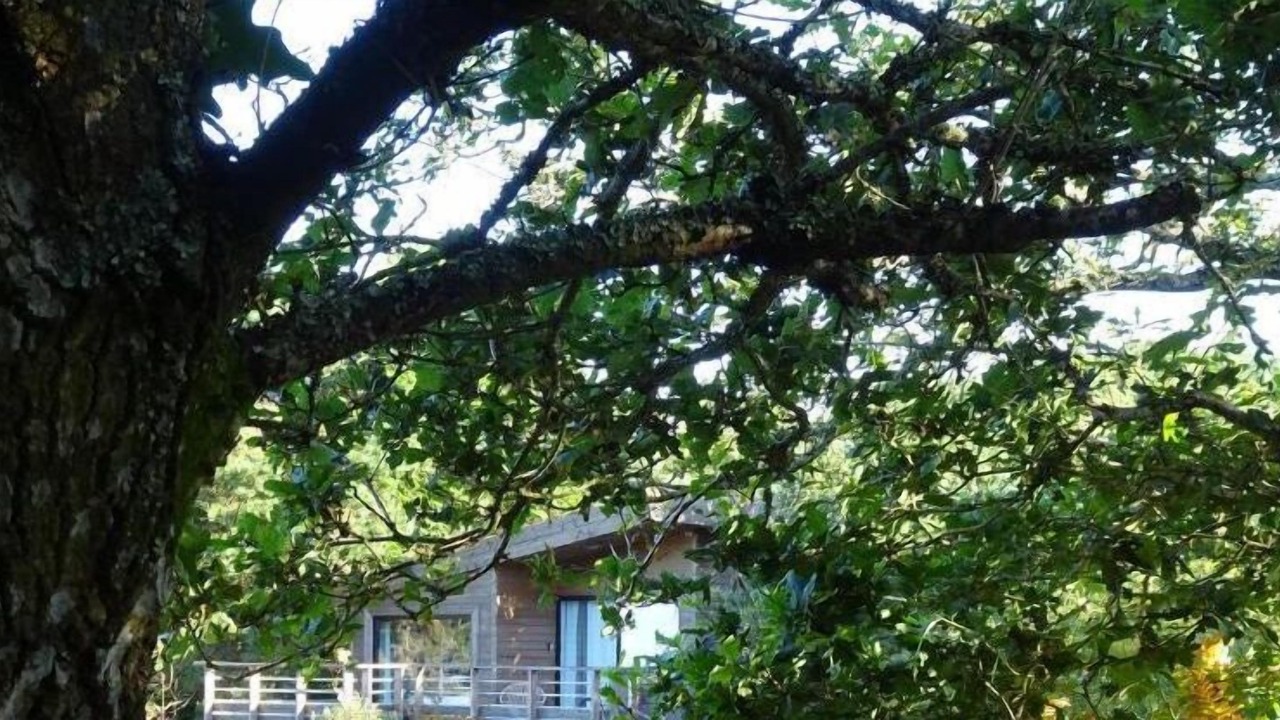 Photo of Others in Pont-Aven