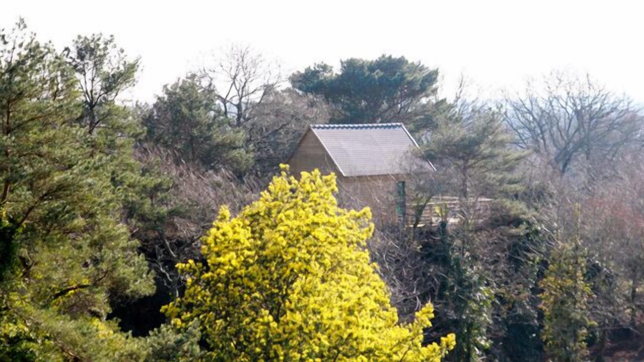 Photo of Others in Pont-Aven