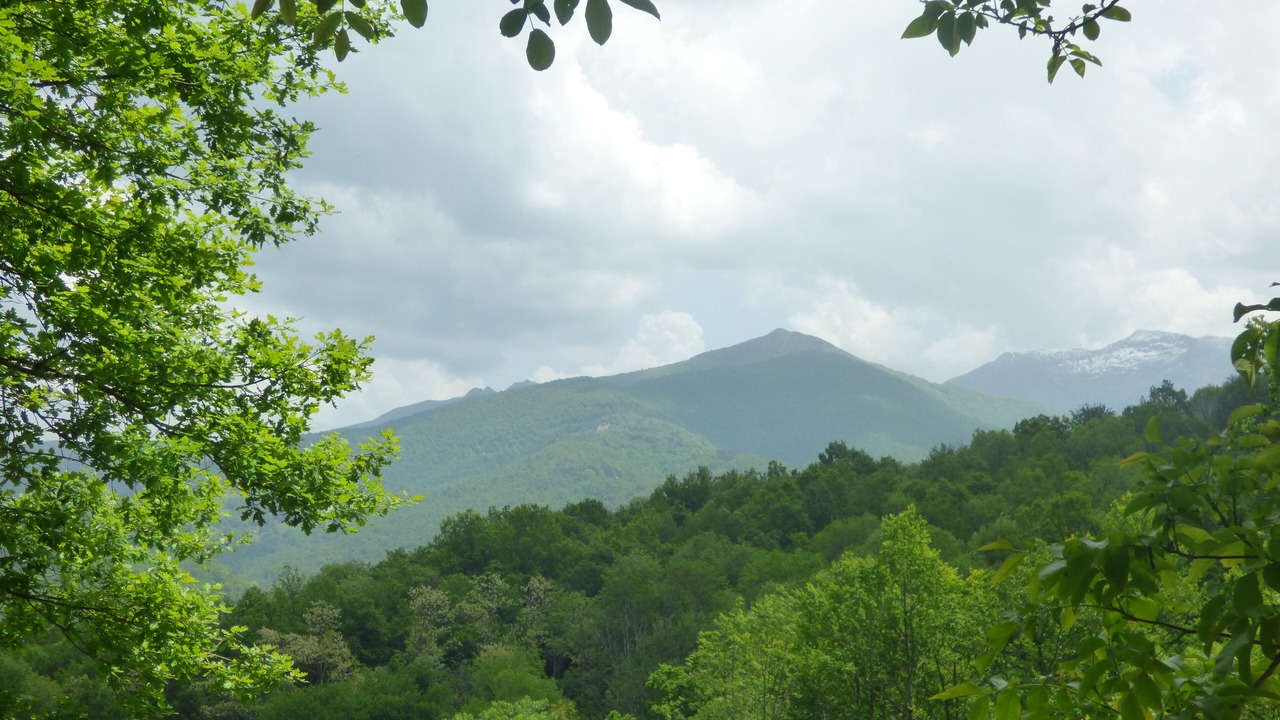 Photo of Outdoor in Massat