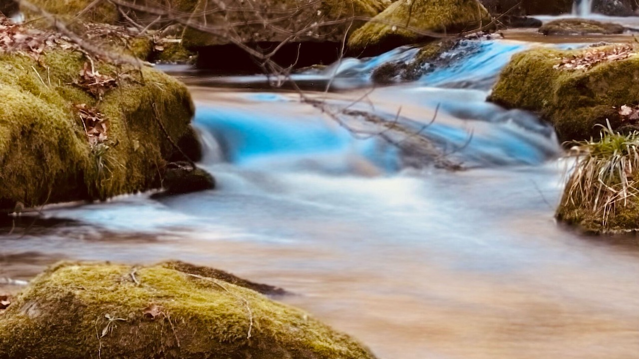 Photo of Outdoor in Tarnac