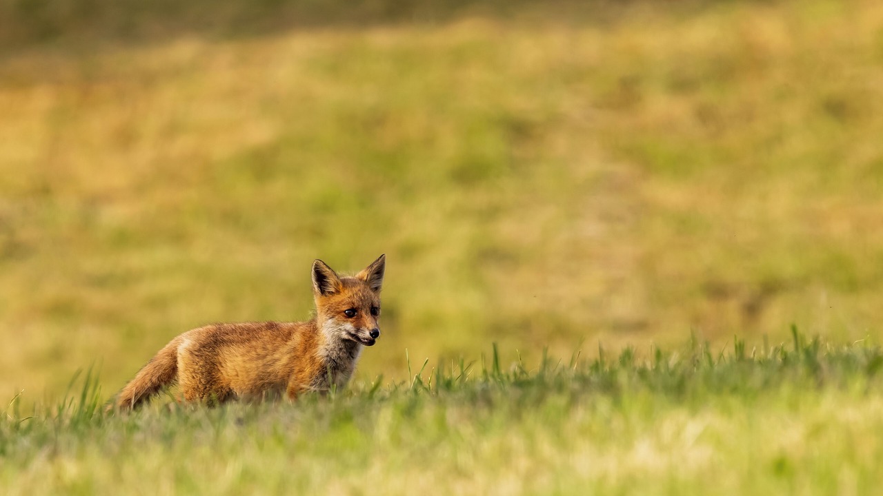 Photo of Others in Tarnac