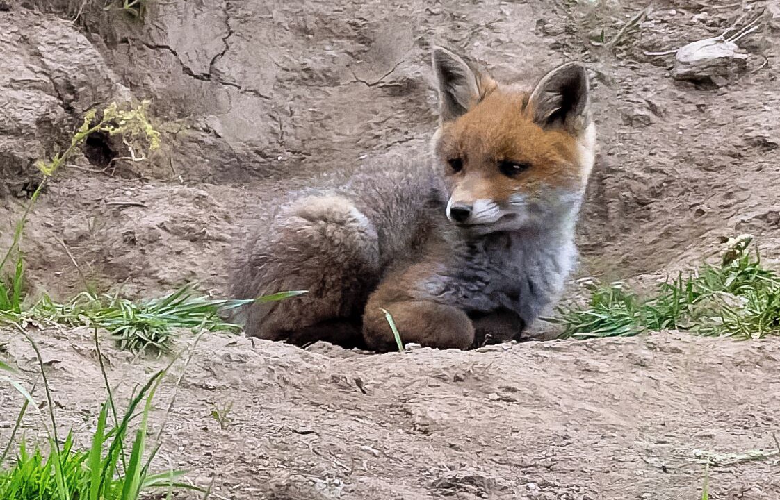 Photo of Outdoor in Tarnac