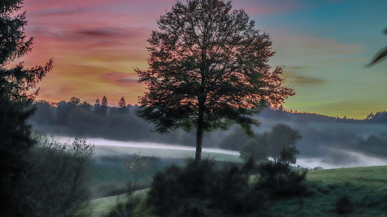 Photo of Outdoor in Tarnac