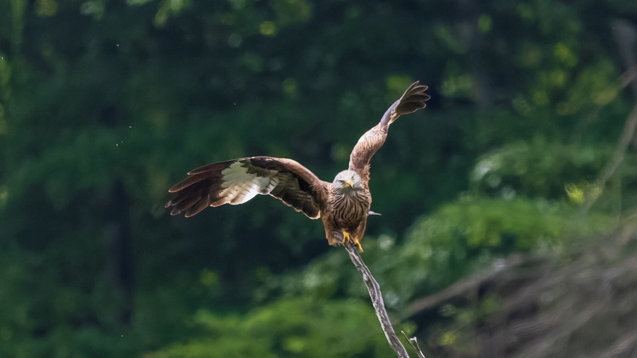 Photo of Outdoor in Tarnac