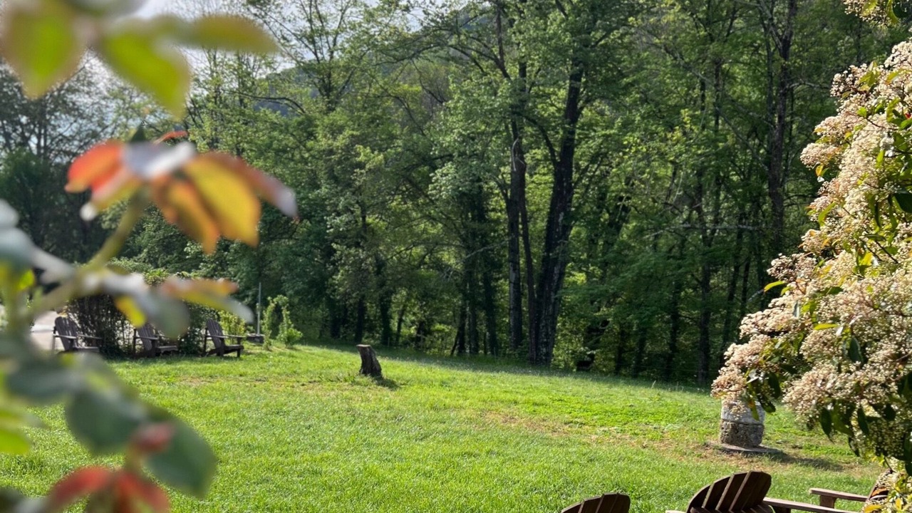 Photo of Others in Saint-Andre-de-Majencoules