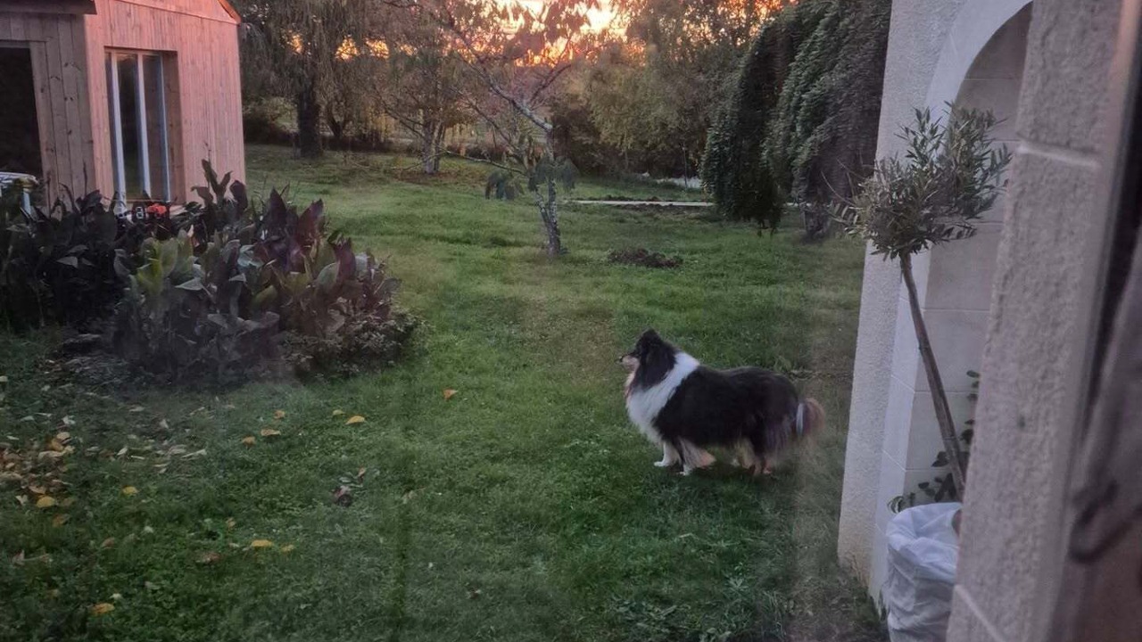Photo of Outdoor in Hautefage-la-Tour