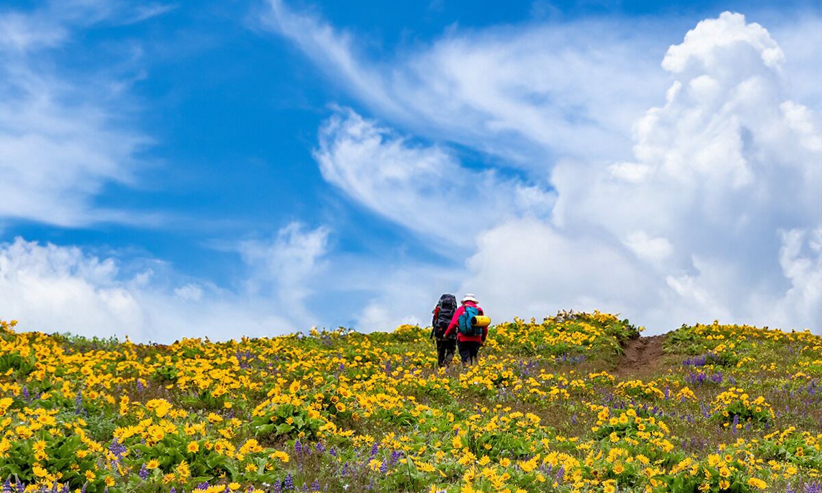 Photo of Outdoor in The Dalles