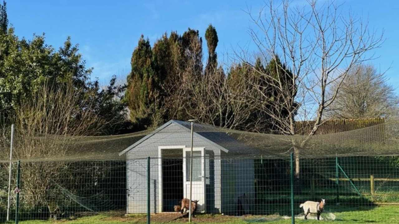 Photo of Outdoor in Le Saint