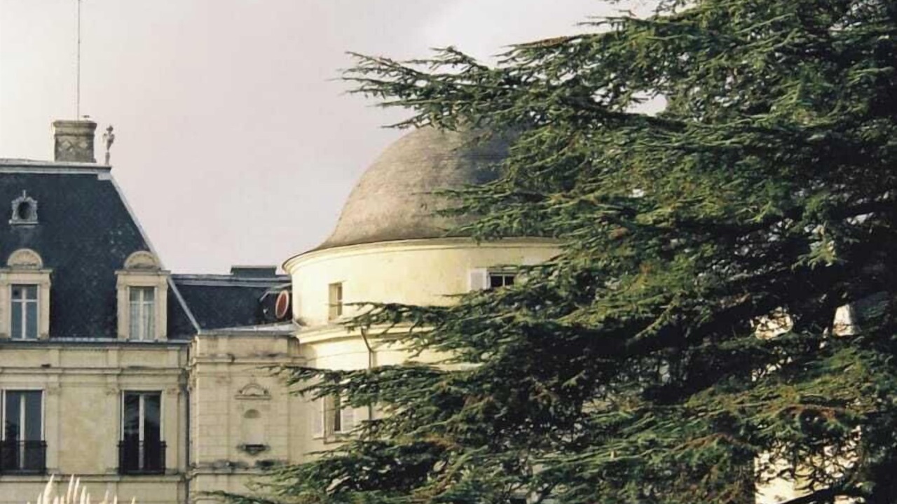 Photo of Others in Benais