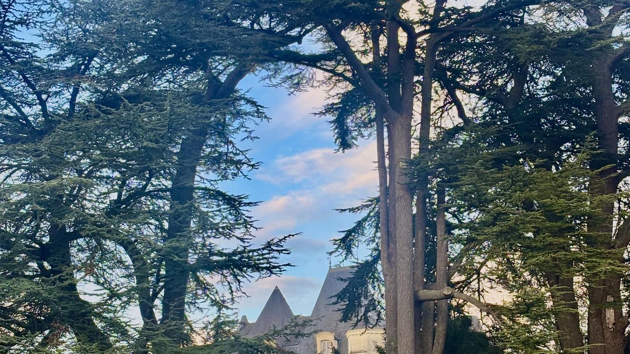 Photo of Outdoor in Benais