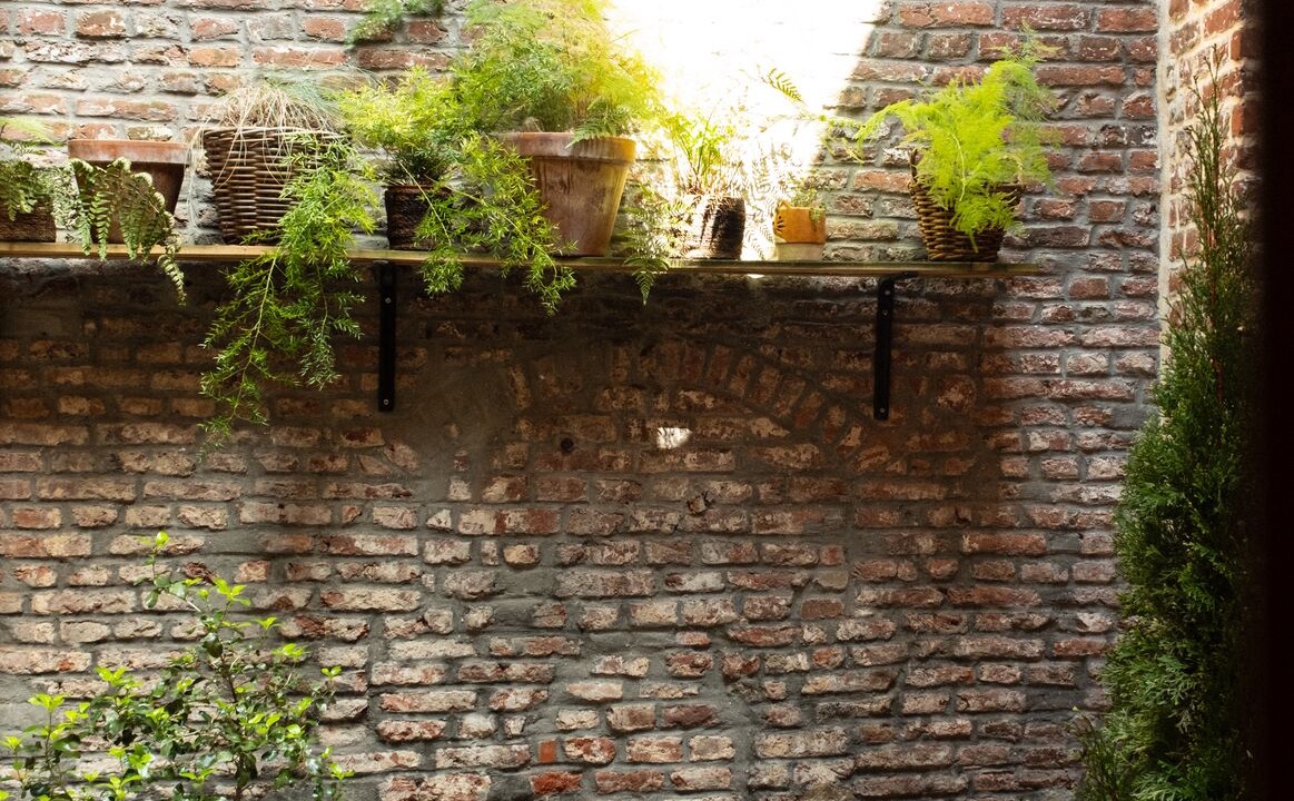 Photo of Others in Old Lille