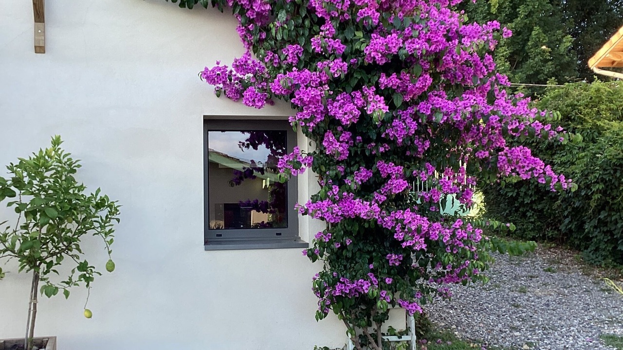 Photo of Outdoor in Sepx