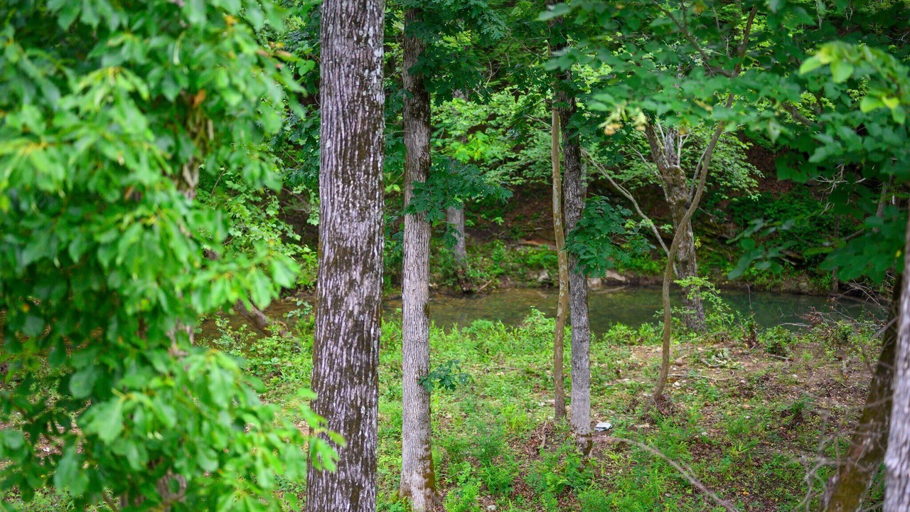 Photo of Others in Broken Bow