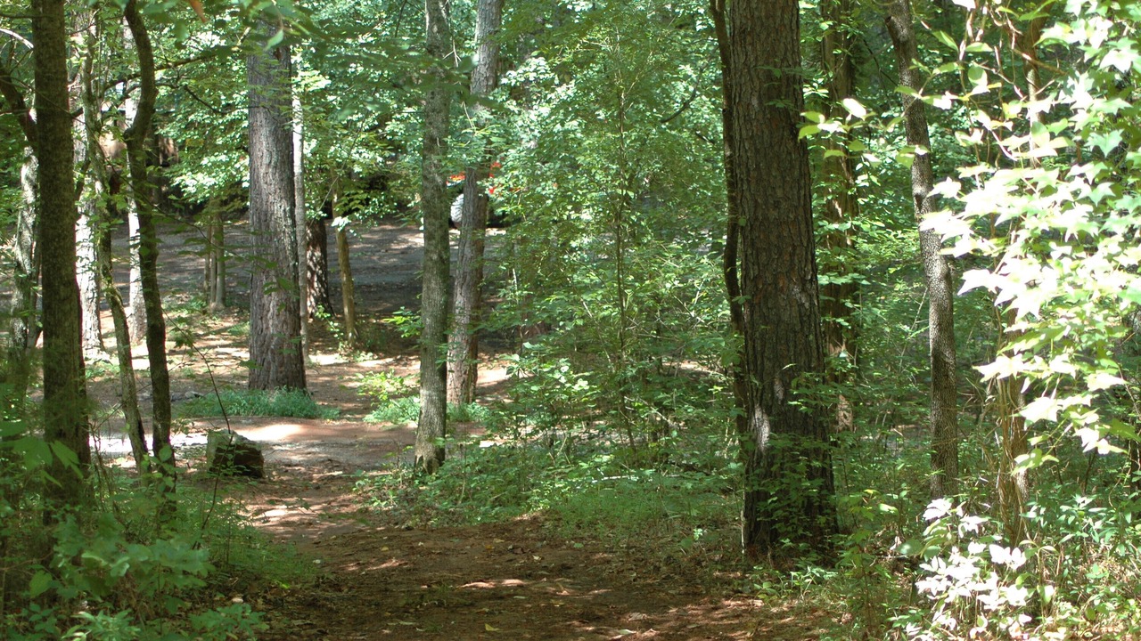 Photo of Outdoor in Benton