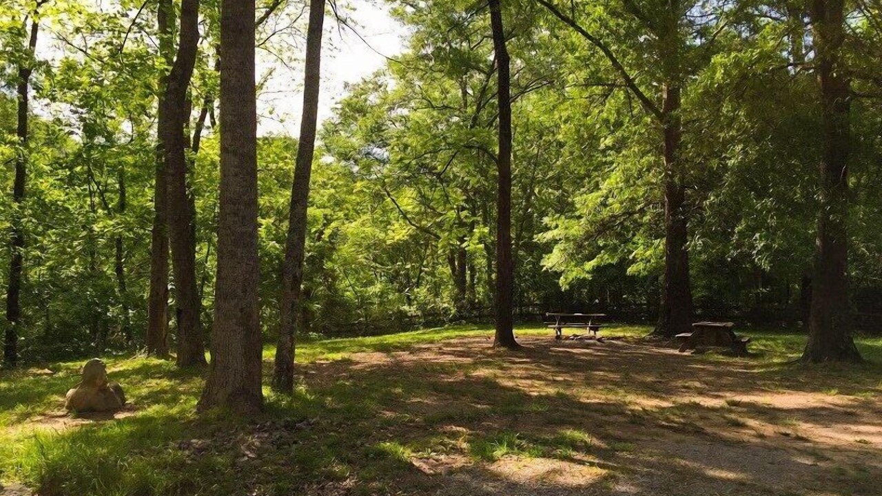 Photo of Outdoor in Benton