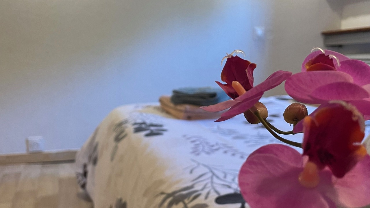 Photo of Bedroom in Arles