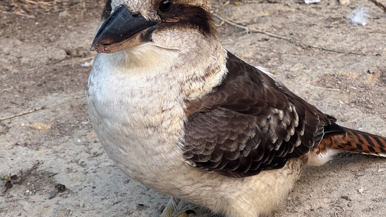 Photo of Others in Buxton